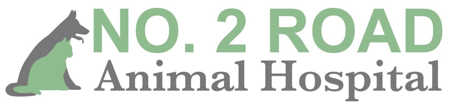 No. 2 Road Animal Hospital Logo
